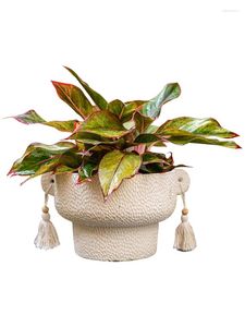 Vases White Tassel Cement Flower Pot Succulent Plant Bonsai Decoration Garden Balcony