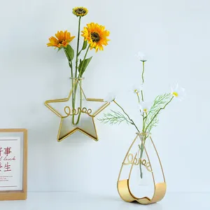 Vasi Porta piante idroponiche in vetro decorativo moderno dorato Porta piante geometriche in ferro cavo con cornice per provette Contenitore per piante