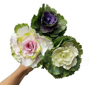 Pó roxo e branco com 3 cabeças de flores simuladas de alta qualidade, repolho coreano, sala de estar, buquê de noiva, flores falsas, decoração de casamento