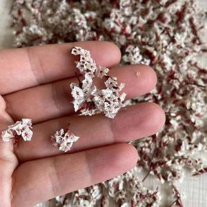 Decorative Flowers 5g Real Natural Dried Tiny Crystal Grass Preserved Rose Flower Heads Mini Dry Forget-me-not DIY For Candle Making