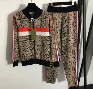 Yeni Kadınların Takipleri Kazak Örgü Tasarımcısı Lady Outwears Hoodie Sports Jogging Suits Sportswear için İki Parça Seti