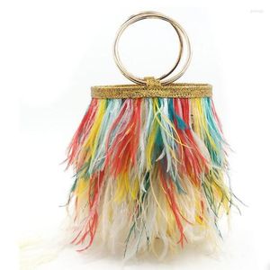 Bolsa de balde de penas de avestruz de bolsas para mulheres bolsas de moda de luxo e bolsas de gaiola