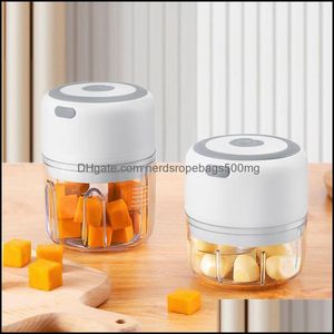 Fruktgrönsaksverktyg 100/250 ml Mini Elektrisk vitlök Chopper Köksverktyg USB Laddning Ginger Meat Masher Hine Chili Choppers Press DH8FB