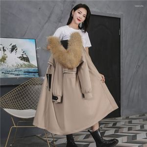 Women's Fur Autumn Winter Women Ladies Real Hair Pie Overcoming Otter Inner Liner Detachable Thermal Insulation Thick Long Coat