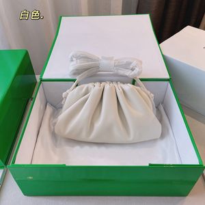 Top Designer bag The Pouch Soft Calfskin Ladies Large Clutch Bags Genuine Leather Famous Hand Fashion Women Upgrade Shoulder Mini Cloud Bag With Box