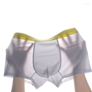 Mutande Ly Man Maschera facciale sottile Panty Assorbimento dell'umidità Pantaloncini respiratori Batteriostatico Cavallo interno Lontano dal prurito Biancheria intima