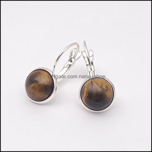 Charm Sier Plated Tiger Eye Quartz Healing Crystal Charms Earrings Geometric Natural Stone Earring For Women Jewelry Drop Dhseller2010 Dhdch