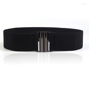 Belts Woman Elastic Band Wide Simple Down Coat Waist Belt Female Buckle Black Strap Dress Decoration Accessories