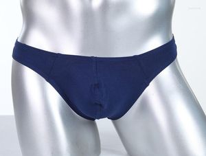 Underbyxor män sexiga underkläder herrar modal thongs g-strängar tanga exotiska manliga trosor trosor gay homme jockstraps u konvex påse