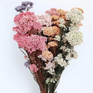 Decorative Flowers 45-50cm Natural Plant Dried Flower Preserved Fresh Immortal Millet Bouquets Gift For Home Decor Wedding Party Decoration