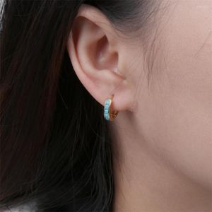 Hoopörhängen mode mini zirkonbrosk av hög kvalitet guldpläterad koppar liten rund öron piercing för kvinnliga smycken
