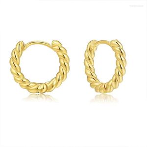 Hoop Earrings 2022 Fashion Simple Shiny 14K Copper Plated Twisted Round Women Jewelry Manufacturers Wholesale
