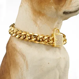 Kedjekvalitet Guldton Curb Cuban Pet Link Rostfritt stål CZ CLASP Dog Collar Partihandel Pethalsband