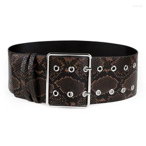 Gürtel Kostenlose Lieferung von Fashion Punk Elastic Belt Wide Female Alligator Pattern Buckle SW265