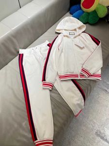 2022 Autumn and Winter New Designer Tracksuit Fashion Stripes Ing Design Zipper Tracksuits Högkvalitativ bekväm Jacquard