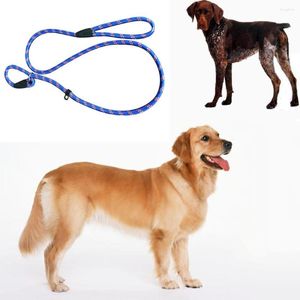 Collari per cani Catena per animali Guinzaglio Millan Whisperer Slip Training Correction Lead Tempo libero Prodotto singolo Home Trend Pratico Corda resistente