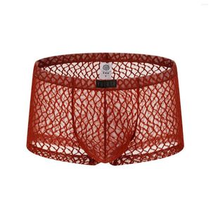 Unterhosen Herren Unterwäsche Boxer Männer Atmungsaktive Mesh Boxer Männlich Sexy Höschen Herren Durchsichtig U Pouch Trunks Hose