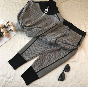 Frauen Tracksuits zweiteilige Sets Bienendruck V-Ausschnitt Patchwork Pullover Anzug Knöchellänge Hose Tracksuit Strick-Outfits