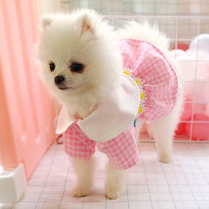 Платье для домашнего животного шнаузер собака одежда плюшка маленькая собака весна лето Померанский Чихуахуа Бишон Одежда