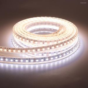 Remsor LED -remsa lampor 2835 flexibel lampa dc12v 24v tejp band diode 120LEDS Lätt vattentät utomhus för rum luces dekor