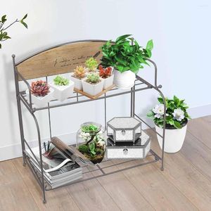 Hooks Double Layers Wooden Metal Storage Racks Decor Cosmetic Flower Pot House Book Figurines Display Crafts Shelves Kitchen