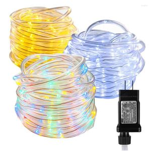 Corde 30M Plug In Corda natalizia Luce impermeabile Scintillio Tubo Fata Stringa per albero Deck Patio Decorazioni per matrimoni