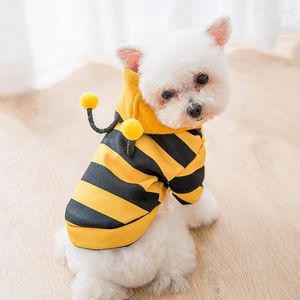 Köpek giyim evcil hayvan sevimli arı kostüm kazak küçük yorumtie kıyafetleri kapüşonlu köpek giysisi kıyafeti bahar sonbahar