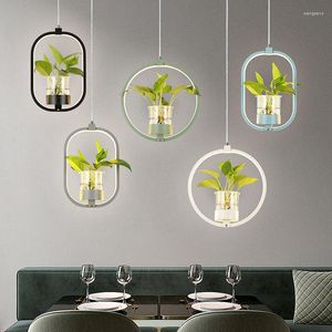 Lâmpadas pendentes Candelador de plantas nórdicas Modern Iron Acrylic Bar Room de jantar Luminária Luminária Lumin