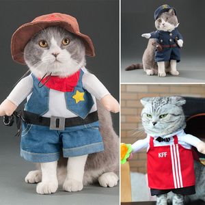 Trajes de gatos roupas engraçadas roupas de verão pirata terno de halloween ternos de figuraria de vestir uma festa para s 220908