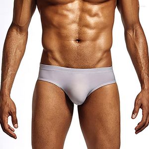 Mutande Slip da uomo sexy Bugle Pouch Intimo di seta di ghiaccio Slip Homme Mutandine Jock Strap Cuecas Tanga senza cuciture Bikini Taglie forti