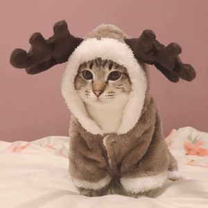Костюмы для кошек Зимняя одежда для кошки теплый флисовый домашний костюм для маленьких кошек котенок комбинезон одежда для кошачьего кошачья одежда для собак одежды 220908