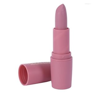 Lipstick matte dames make up rouge moisturizer lip tattoo colors cosmetica pigment fluweel