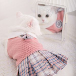 Costumi per gatti Vestiti per gatti carini per l'autunno inverno Caldo per la pelle Vestiti per gatti adorabili per Ragdoll Blue Cat Kitten Dress ropa para gato 220908