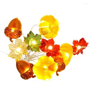 Strings 2022 Fall 3D Pumpkin Acorns Fairy String Lights 30 LED Warm White Battery Powered Remote Control Garland Lamp