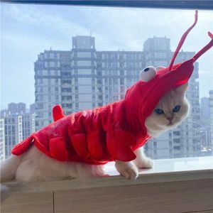 Trajes de gatos fantasia de lagosta de gato vestido de halloween cosplay cachorrinho com capuz vermelho roupas de roupa quente roupas de halloween roupas de fantasia vestido 220908