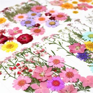 Dekoratif çiçekler kurutulmuş presli çiçek yaprakları cımbız çeşitli doğal papatya diy gerçek kuru mum dekorasyon reçine epoksi el sanatları