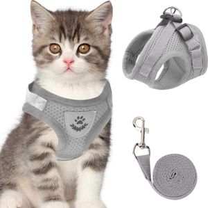 PET NYLON MESH CAT HARNESS و LEASH CATTEN CATS THERSES THERS SMALL DOG ​​PROPPY THE FOR BULLDOG Chihuahua Pug