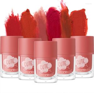 Lip Gloss 6 Colors Lips Makeup Velvet Matte Lipstick Waterproof Non-marking Tint Lasting Cosmetics Make-up For Women TSLM1