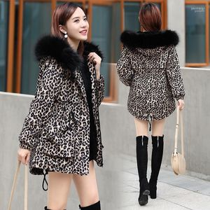 Frauen Unten Gold Samt Parka Gepolsterte Jacke frauen Große Pelz Kragen Winter Frauen Mid-Länge Plus Dicke Leopard weiblichen Mantel1