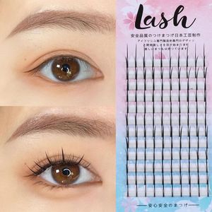 False Eyelashes No Technicuqe Needed Easy To Apply Natural Long Extension A Shape amp Volume Cluster Premade Volume Fan