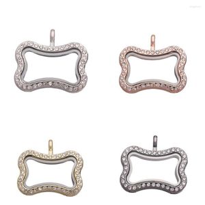 Подвесные ожерелья 5pcs Dog Bones Glass Emerive Medaillon Picture Living Living Locket for Women Relicario Charms