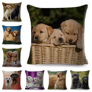 Подушка милый лабрадор декор декор Pet Dog Animal Print Print для дивана Home Car Polyester Pillowcase 45x45см
