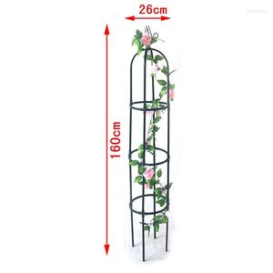 Ganchos de 63 polegadas de jardim treliça de treliça de metal suporte para escalar trepadeiras e plantas verdes