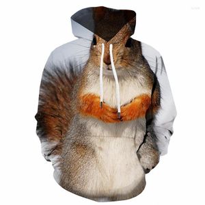 Herrtröjor män tröjor 3d ekorre hoodie män djur huvtröja anime söt tryck snö huva casual herrkläder streetwear