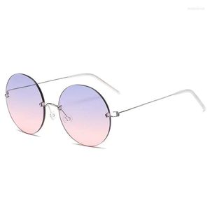 Sunglasses Frames Titanium Screwless Eyewear Men Women Round Prescription Eyeglasses Sun Glasses Optical Lens Denmark Korean