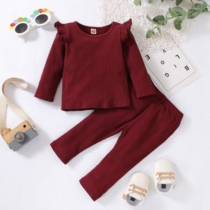 Clothing Sets Kids Toddler Boy Girls Clothes Casual Soild Ribbed Long Sleeves Top Pants Set Romper Baby Girl Boys Size 5