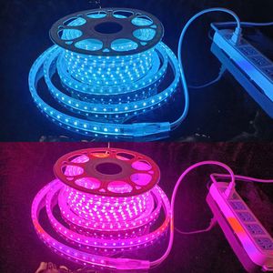 Faixa de luz LED RGB 50m 100m IP65 à prova d'água flexível 110V 220V 5050 Faixa de luzes com controle remoto