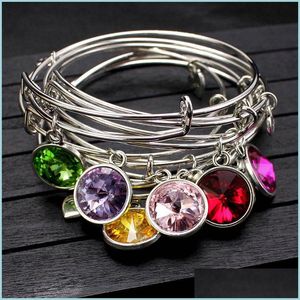 Manschett mode personlig 12 månader födelsesten dingle charms armband manschett kärlek Herat Crystal Armband julsmycken gåva Mjfashion Dhtm3