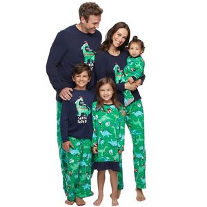 Família combinando roupas da família Pijama de Natal, pai e filho, mãe, mãe irmã, filha, aparência igual