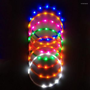 Collari per cani Collare per animali domestici con ricarica USB Regolabile LED ricaricabile Notte lampeggiante Collo solido in plastica luminosa per cani